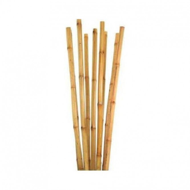 Dekoratif Doğal Hasır Bambu Çubuk 1 Metre 20 Adet